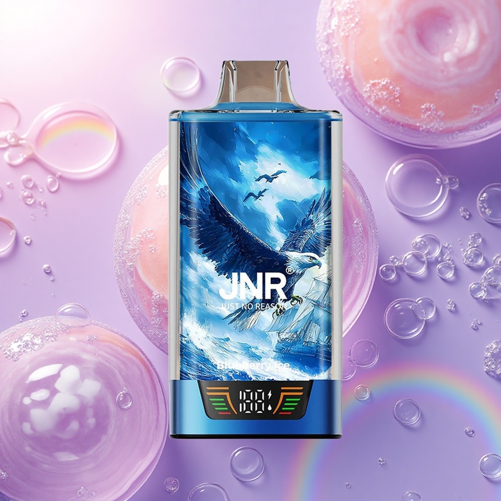 JNR Falcon Pro 28000 Gelato di Mirtillo con 5% Nicotina e 950mAh
