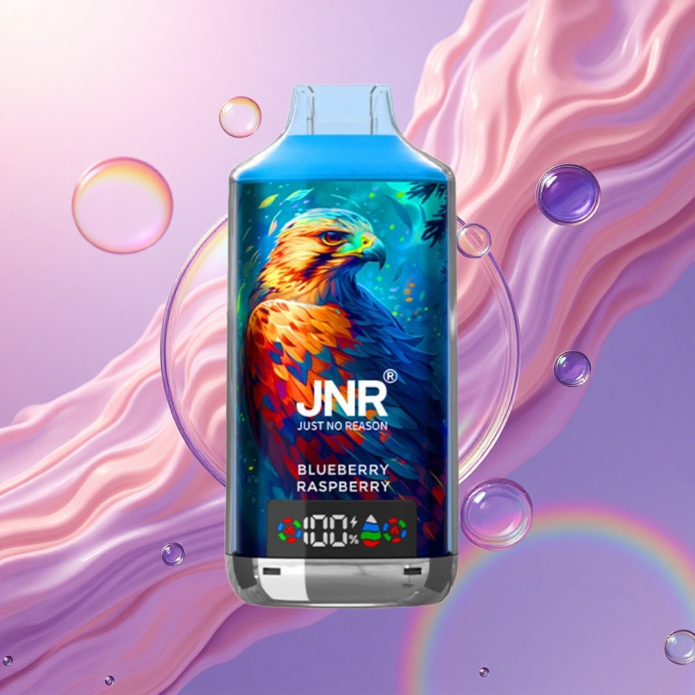 JNR Falcon X 18000 Mirtillo Lampone 24ml 750mAh Carica Rapida Tipo-C