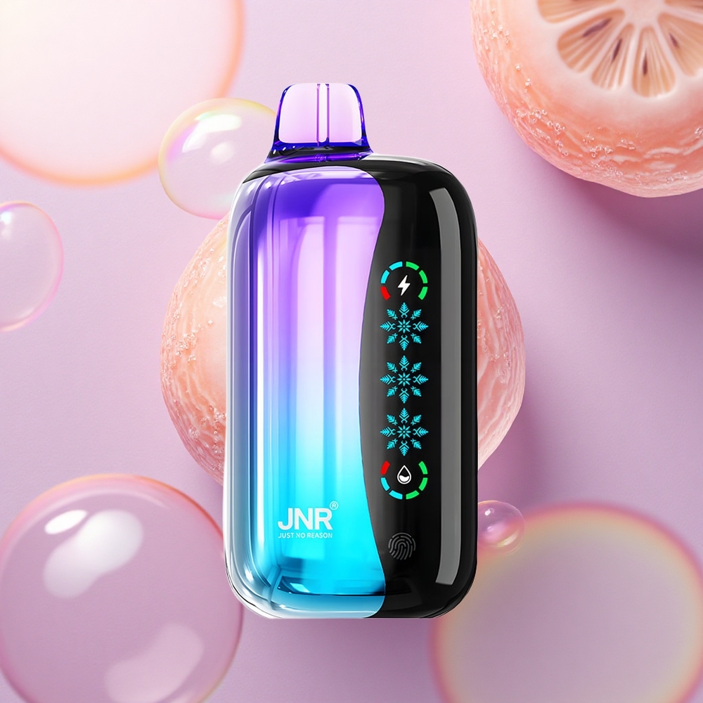 JNR Flex Ice 21000 Kiwi Frutto della Passione Guava Ghiaccio Regolabile 1000mAh Dual Mesh