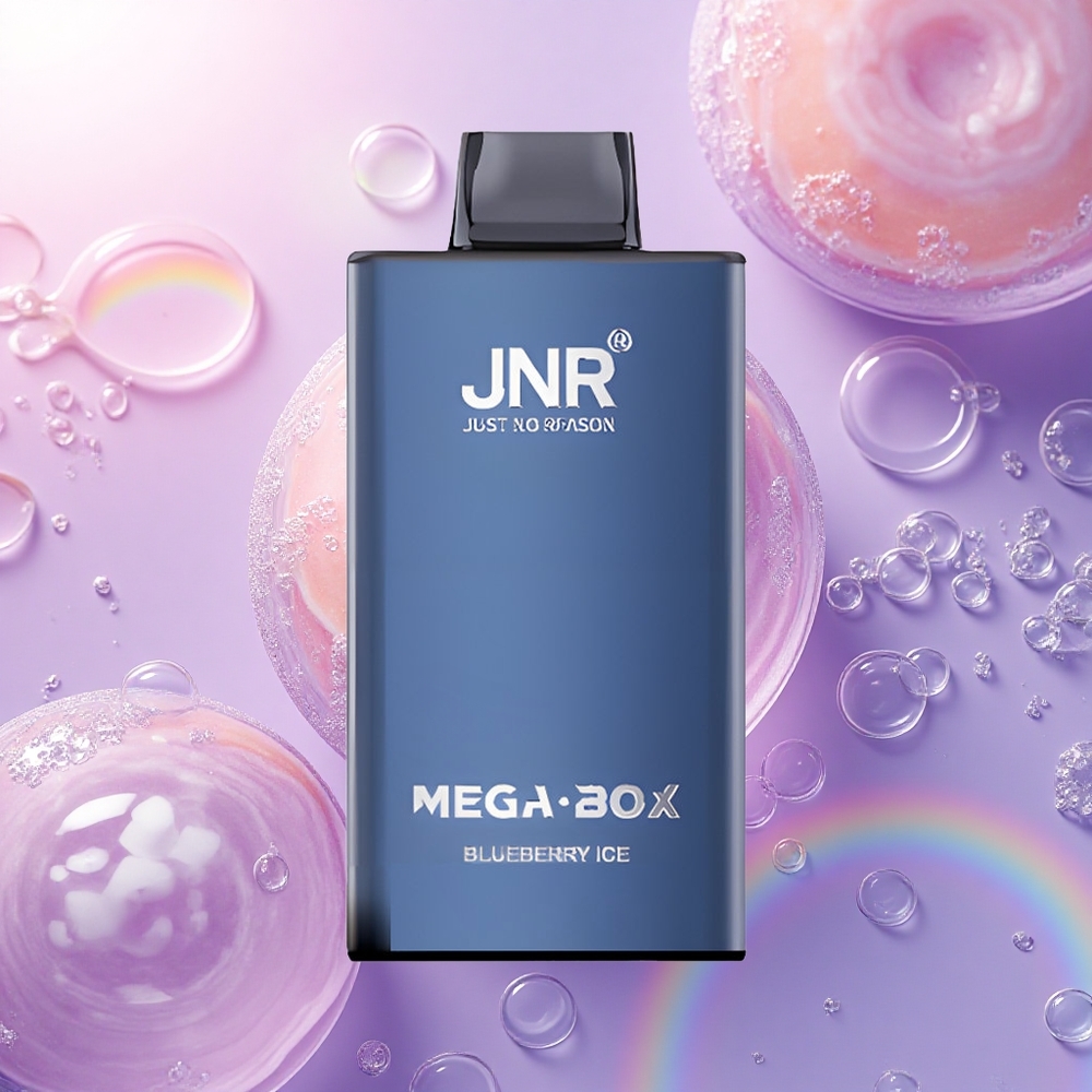 JNR Mega Box 25000 Gelato di Mirtillo con 850mAh e Nicotina 2%