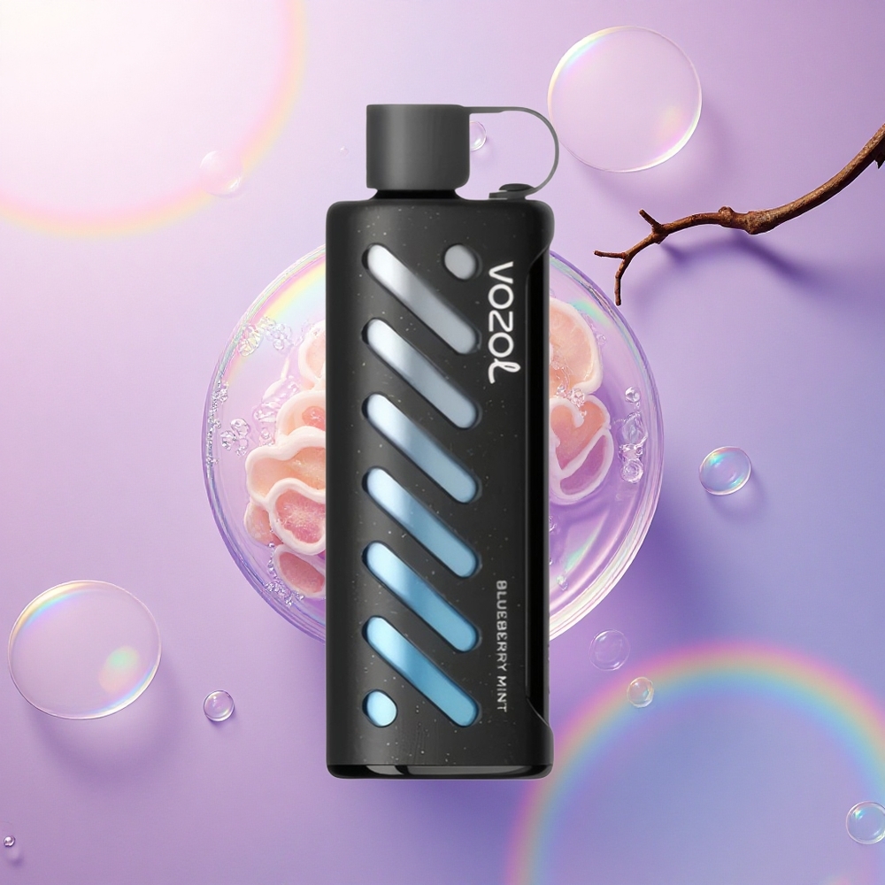 VOZOL Gear Shisha 25000 Puffs Menta Mirtillo Dual Mesh 1000mAh